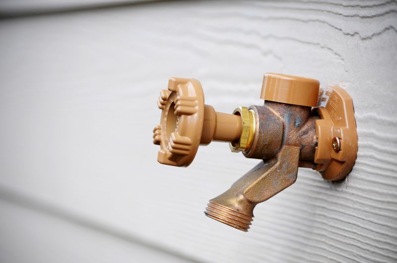 Showerhead Repair in Denver, CO