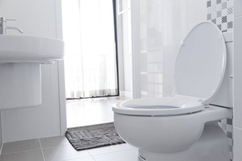 Toilet Leak Repair in Denver, CO